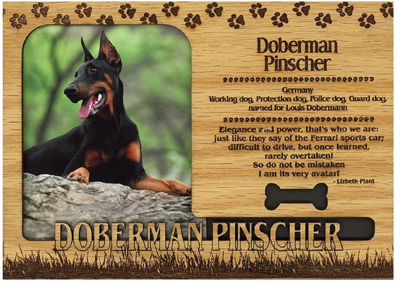 Doberman Pinscher Engraved Wood Picture Frame Magnet