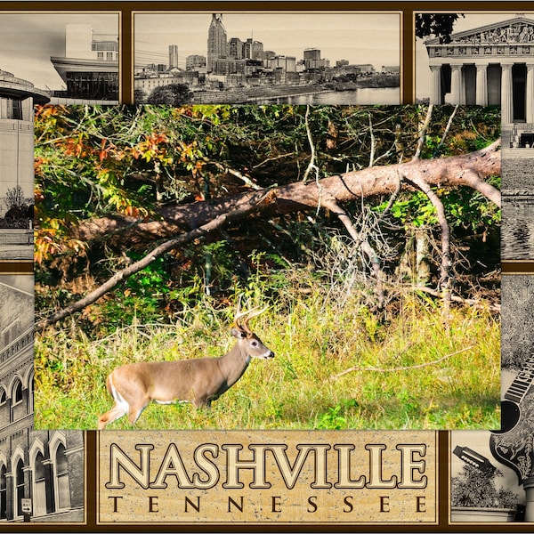 Nashville Picture Frames Etsy