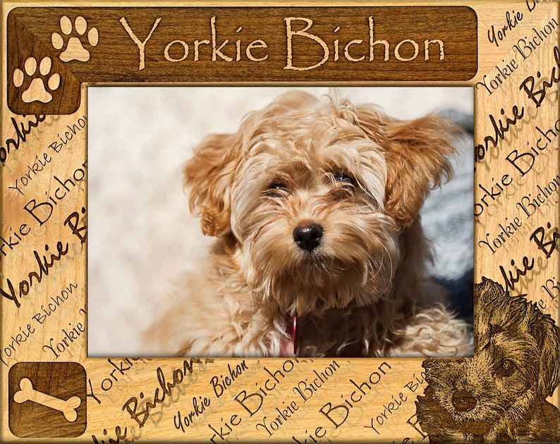 Yorkie Bichon Laser Engraved Wood Picture Frame