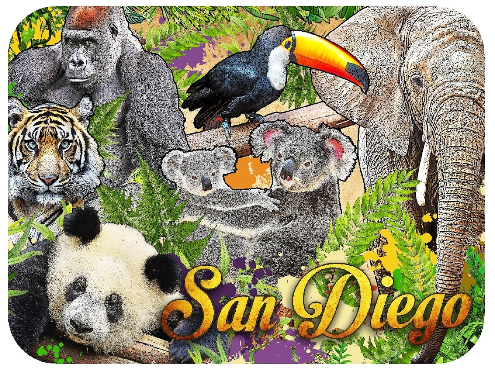 San Diego Zoo Fridge Etsy