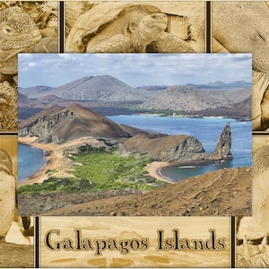 Galapagos Island Laser Engraved Wood Picture Frame