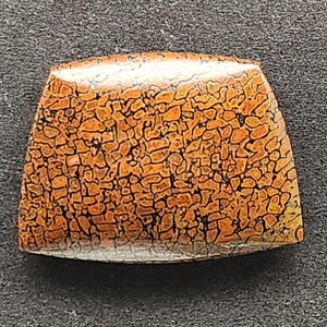 Dinosaur Bone Gembone Cabochon, Designer Cabochon, Hand Cut, Freeform Shape