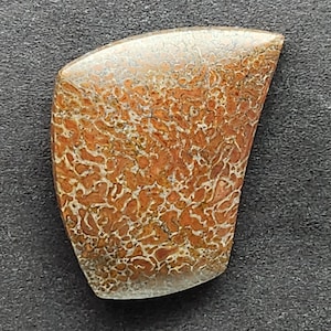 Dinosaur Bone Gembone Cabochon, Designer Cabochon, Hand Cut, Freeform Shape