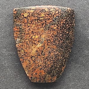 Dinosaur Bone Gembone Cabochon, Designer Cabochon, Hand Cut, Freeform Shape