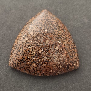 Dinosaur Bone Gembone Cabochon, Designer Cabochon, Hand Cut, Trillion Shape