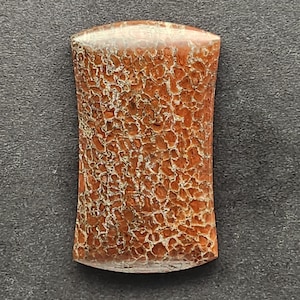 Dinosaur Bone Gembone Cabochon, Designer Cabochon, Hand Cut, Freeform Shape