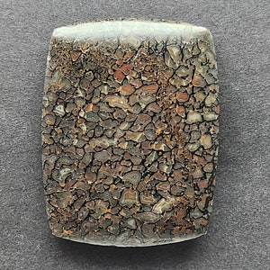 Dinosaur Bone Gembone Cabochon, Designer Cabochon, Hand Cut, Freeform Shape