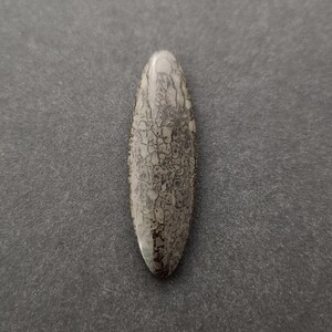 Puede incluir: Un cabujón ovalado gris claro con un patrón gris oscuro. La piedra tiene una superficie lisa y pulida.