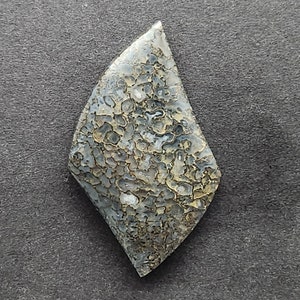 Dinosaur Bone Gembone Cabochon, Designer Cabochon, Hand Cut, Freeform Shape