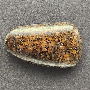 Dinosaur Bone Gembone Cabochon, Designer Cabochon, Hand Cut, Freeform Shape