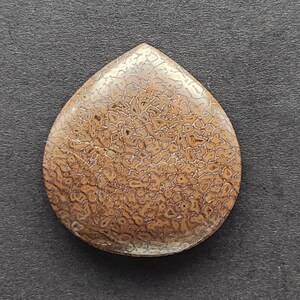 Puede incluir: Un cabujón de madera petrificada marrón en forma de lágrima con un patrón de remolino.
