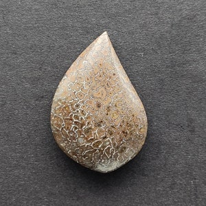 Dinosaur Bone Gembone Cabochon, Designer Cabochon, Hand Cut, Freeform Shape