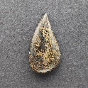 Dinosaur Bone Gembone Cabochon, Designer Cabochon, Hand Cut, Freeform Shape