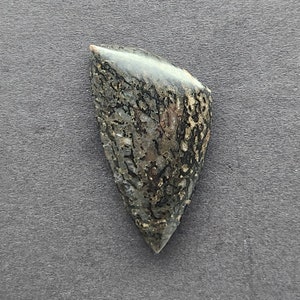 Dinosaurier Knochen Gembone Cabochon, Designer Cabochon, Hand geschnitten, Freeform Form