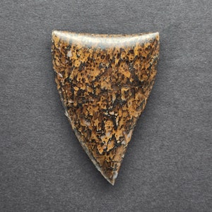 Dinosaur Bone Gembone Cabochon, Designer Cabochon, Hand Cut, Freeform Shape