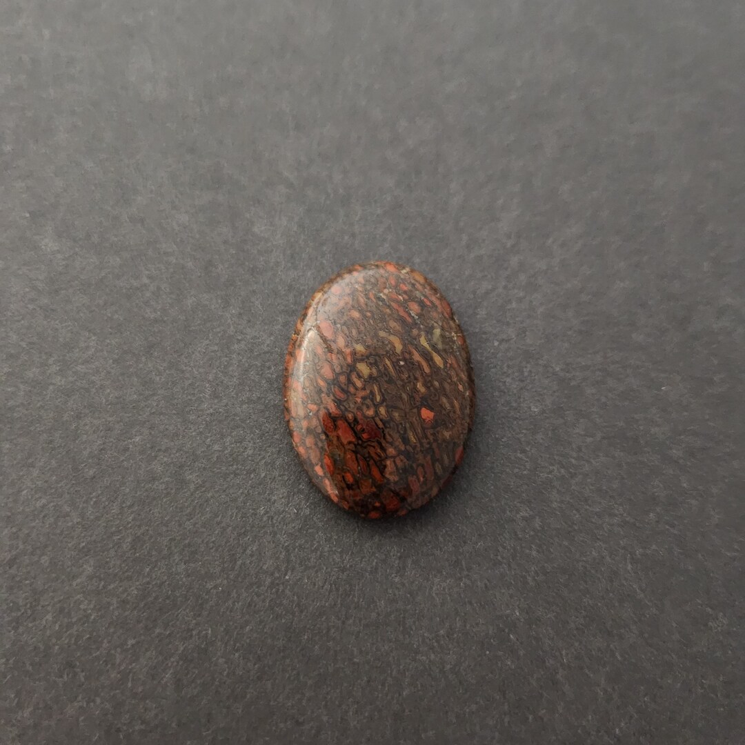 Dinosaur Bone Gembone Cabochon, Designer Cabochon, Hand Cut, Oval Shape ...
