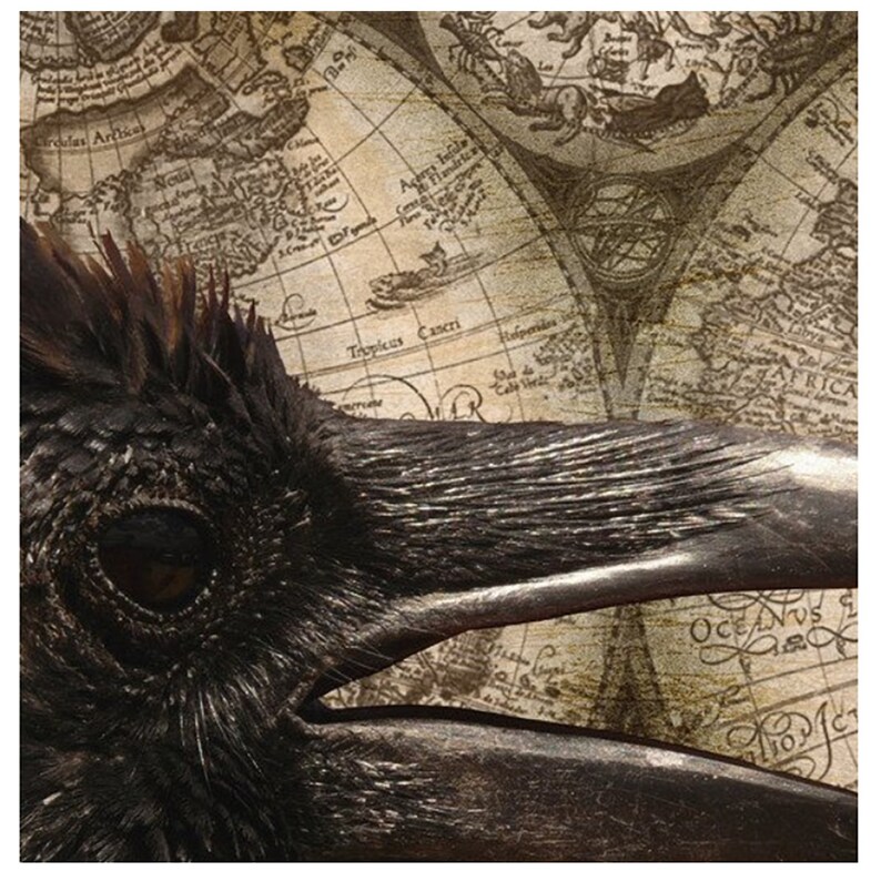 Black Bird Aged Sepia Canvas Tote Bag Steam Punk Trendy Modern Dark Gothic