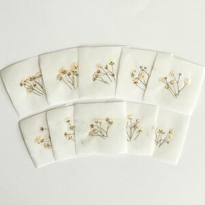 May include: A collection of ten square, off-white paper cards, each adorned with delicate, dried, light-colored flowers. The cards are arranged in a semi-circle, showcasing the natural floral designs against the neutral background.