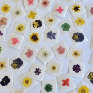 Bulk Real Pressed Flower Stickers, Floral Envelope Seals (50), Bridal Invitation Seals