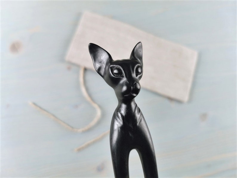 Schwarze Haare Gabel Sphinx Katze schwarzer Mond und Katze ...