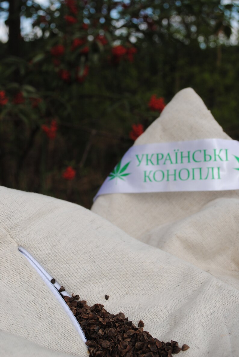 Puede incluir: Una funda de almohada blanca con una cremallera abierta, que revela c&aacute;scaras de trigo sarraceno marrones en el interior. La funda de almohada tiene una cinta blanca con texto verde que dice "українські коноплі" (C&aacute;&ntilde;amo ucraniano).