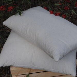 Puede incluir: Dos almohadas blancas de algod&oacute;n org&aacute;nico apiladas una encima de la otra. La almohada superior tiene una etiqueta verde y blanca que dice "Algod&oacute;n org&aacute;nico".