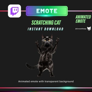 ANIMATED Black Cat for Twitch, Streamer, Gaming, Streaming, Stream Emotes, Cute Cat Emote, Kitty emote