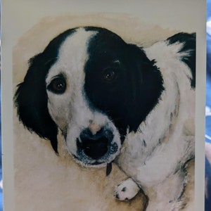 Biglietto di auguri A6 con cane bianco e nero