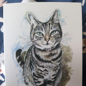 Portrait de chat tigré sur fond blanc carte de voeux A6