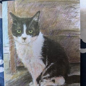 Carte de voeux A6 avec un chat noir et blanc