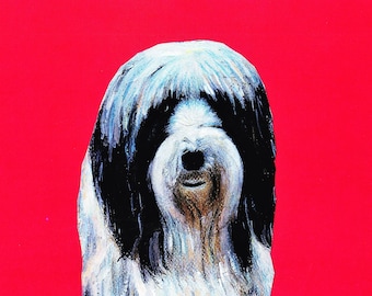 Printable artwork of a bearded collie on bright red background