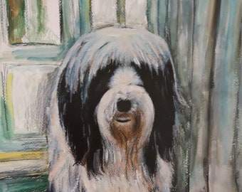 A4 unframed art print depicting Sebastian the bearded collie