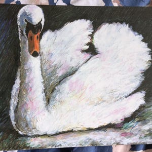 A4 unframed art print titled &#39;The Moonlit Swan&#39;