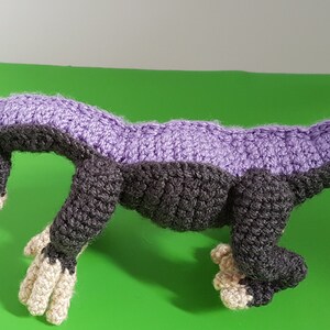 Baby Therizinosaurus Crochet Pattern image 3