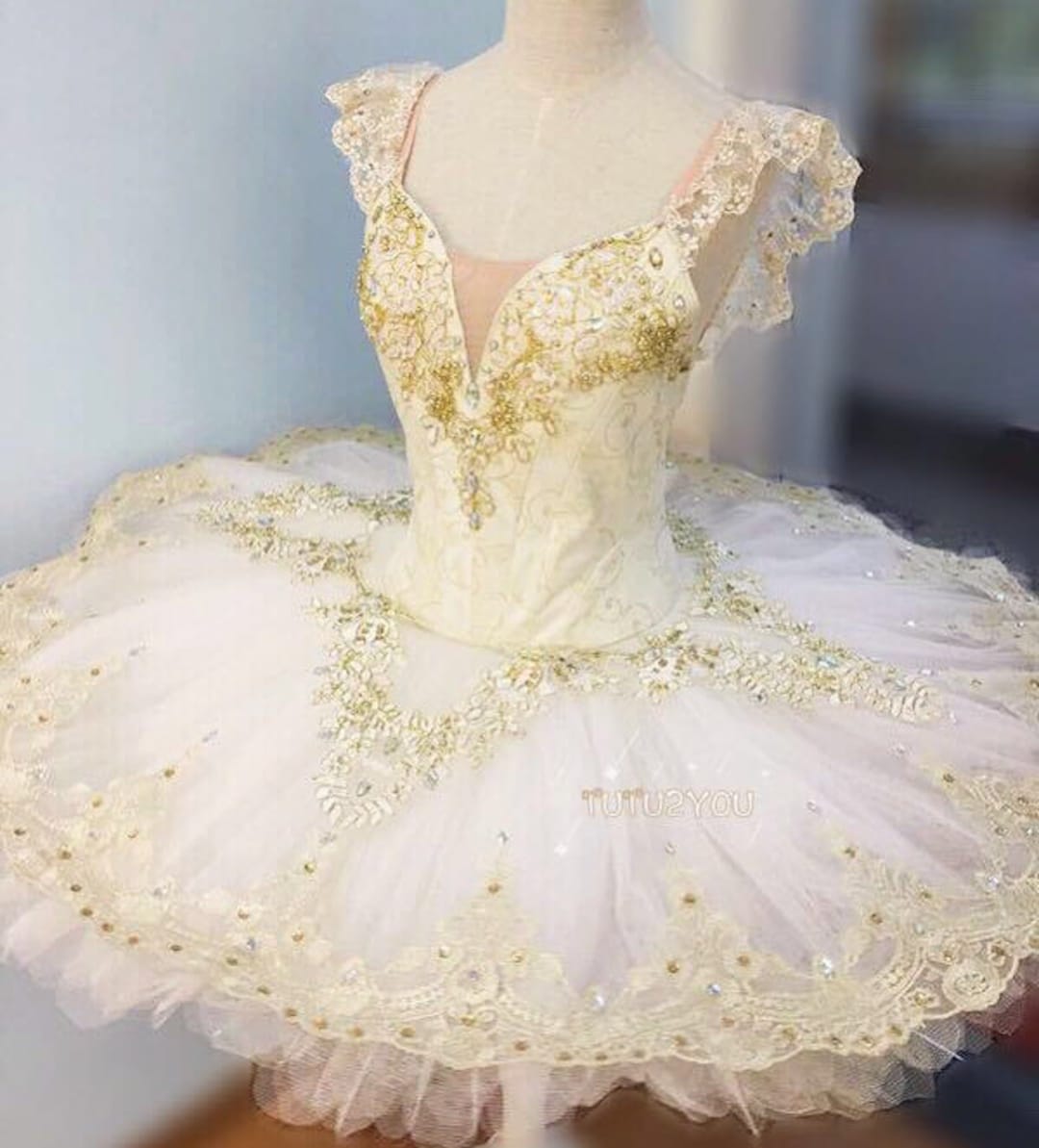 Women Practice Tulle Ballet Tutu