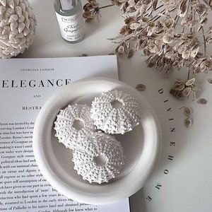 May include: A minimalist still life composition. Three white sea urchin shells rest in a white ceramic bowl. A bottle of fragrance, dried seed heads, and a book with the word "ELEGANCE" are also visible. The setting is a white surface.