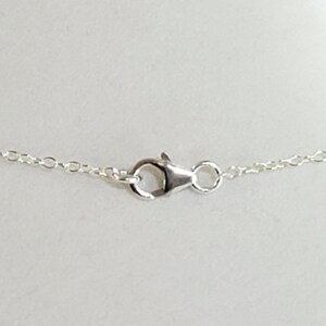May include: A silver chain necklace with a lobster clasp closure.