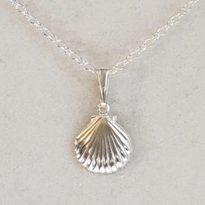 925 Sterling Silver Scallop Shell Pendant, Necklace with 925 Sterling Silver Oval Cable Chain & 925 Sterling Silver Lobster Clasp