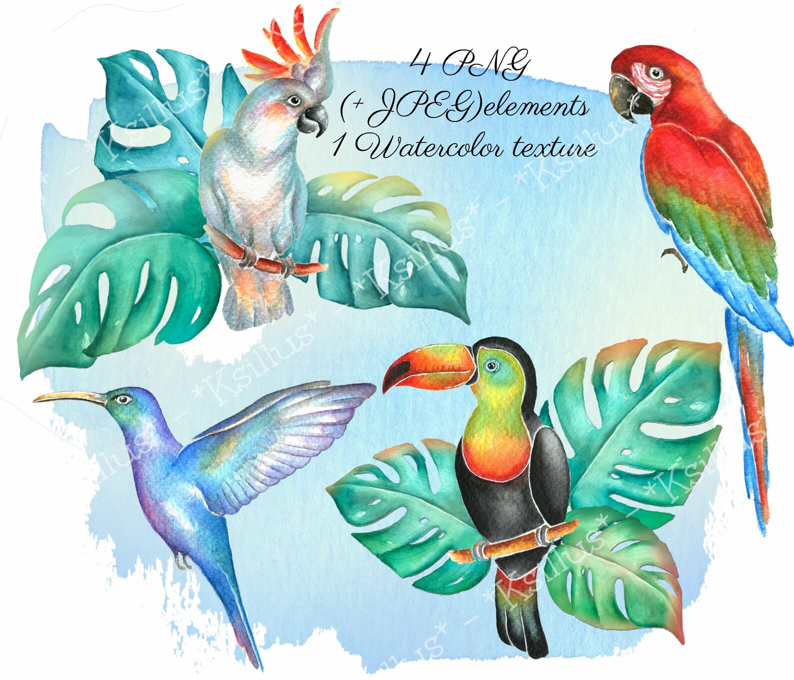 Tropical Birds Watercolor