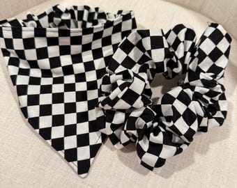 Bandana para perro y coletero a juego