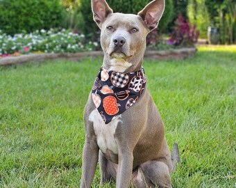 Bandana pour chien citrouille d'Halloween