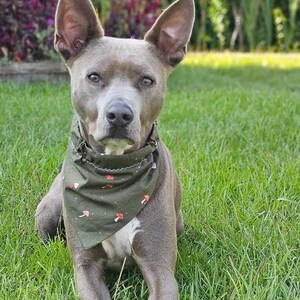 Mushroom Doggy Bandana