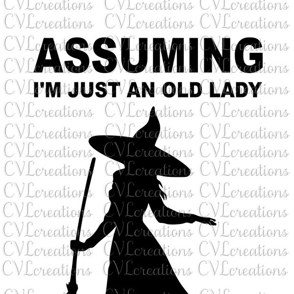 Assuming I'm Just An Old Lady Was Your First Mistake Witch Digital File