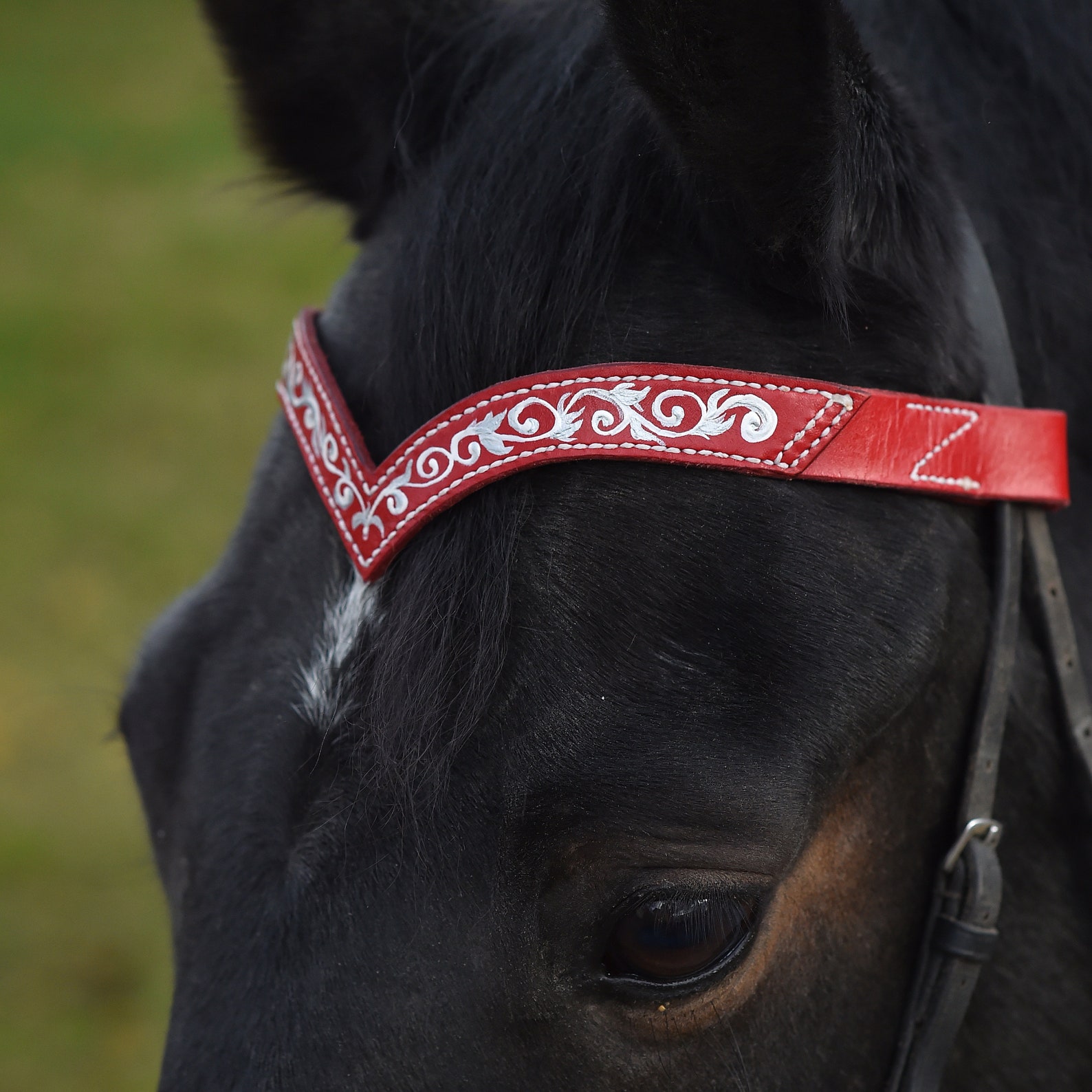 Browband for horses Handmade pony draft brow band Ruby horse Etsy