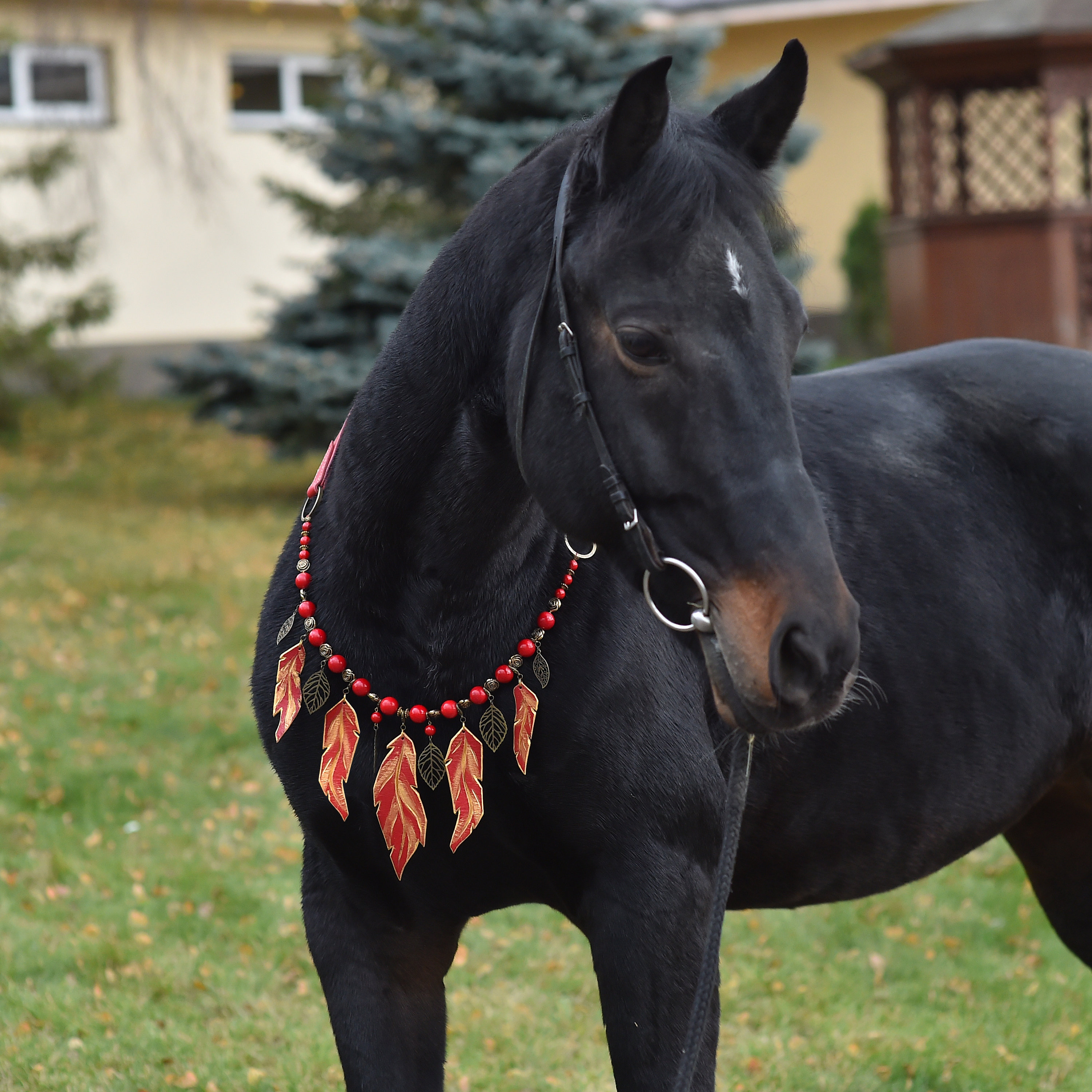 Red horse tack Rhythm beads jewelry for horses Handmade equine Etsy