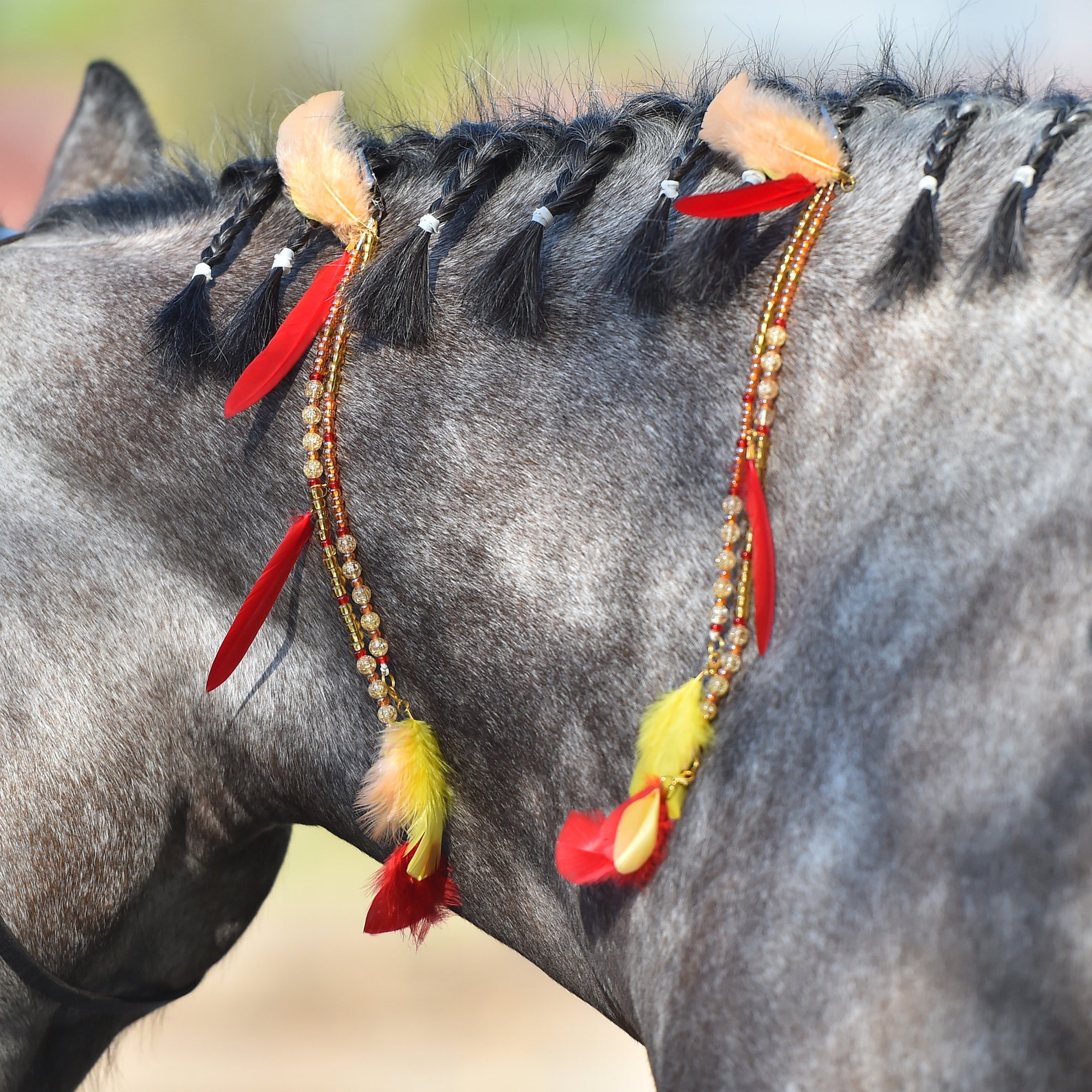 Indian Mane and Tail Feathers Horse Rhythm Beads Extensions. Etsy