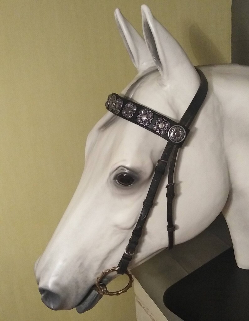 Bling browband Black horse tack. Browband for horses Jewellry Etsy