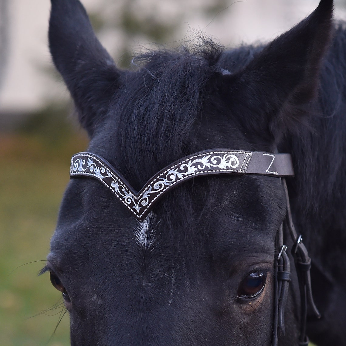 Browband for horses Handmade pony draft brow band Ruby horse Etsy