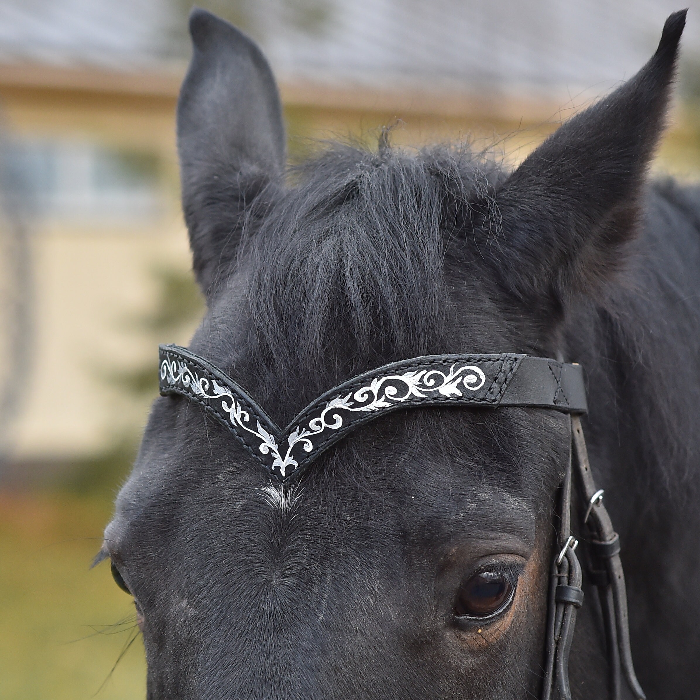 Browband for horses Handmade pony draft brow band Ruby horse Etsy