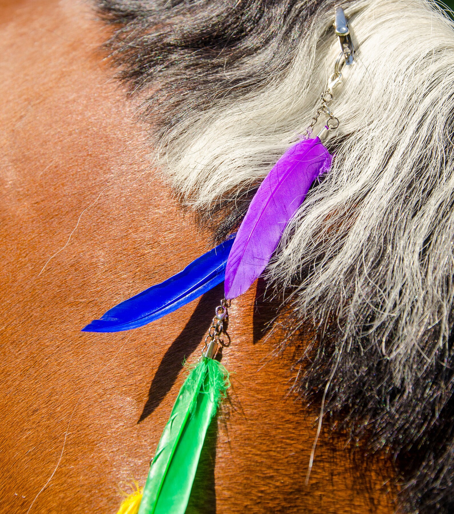 Horse mane extension pair Handmade pony mane and tail 2 clip Etsy